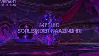 Vibrant vs. Mythic Soulbinder Naazindhri - Protection Paladin POV