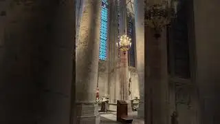 Ses vitraux exceptionnels #france #music #travel #basilique #architecture #europe #beautiful