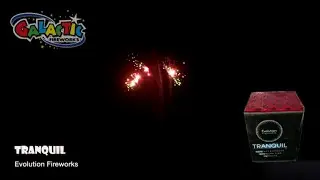 Tranquil Evolution Fireworks