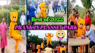 Youtube Rewind Best of 2022 Videos ✌️|| Teddy bear pranks😂 || India || West Bengal || #rockstarteddy