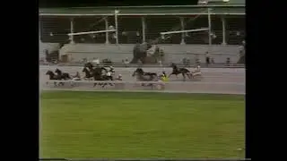 Melbourne Showgrounds trots - Saturday, December 1st 1979