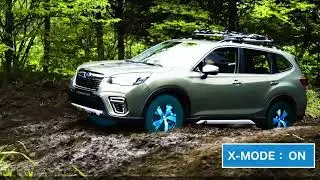 THE SUBARU DIFFERENCE