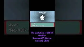 #pokemon  #pok&eacute;mon #shinypokemon #shorts The Evolution of Shiny Mudkip&mdash;Swampert (Pok&eacute;mon Emerald)