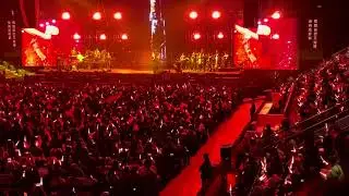 黑色柳丁