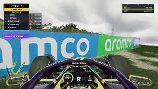 playing F1 the video game