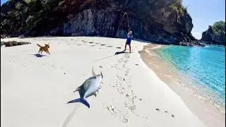We Found a SECRET Beach Full of Giant Fish!