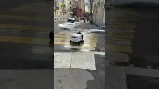 Robots  for delivery of Parcel in Moscow, Russia #russia #moscow