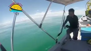 Ajaq's Jetty(JIGGING) Bully Case