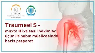 Traumeel S - базовый препарат для терапии воспаления для специалистов разных направлений