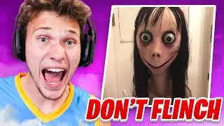 ULTIMATE Try Not To Flinch Challenge!