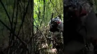 Asi recorre Juan Manuel Azaro la selva primordial