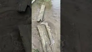 Очередной поход