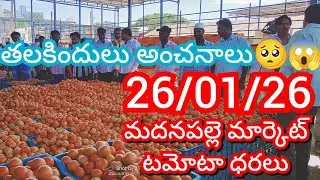 26-01-26 Madanapalle Tomato Market price Today || Today Tomato Market Rate in Madanapalle #today