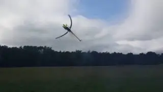 Carlos Rossi flying the goblin nitro at helifest 2017