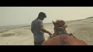 চর বাঘুটিয়া