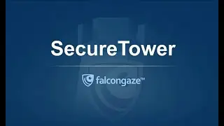 Обеспечение информационной безопасности - DLP система Falcongaze SecureTower