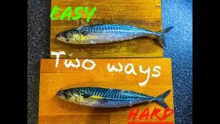 HOW TO FILLET MACKERAL IN 2023 - TWO METHODS