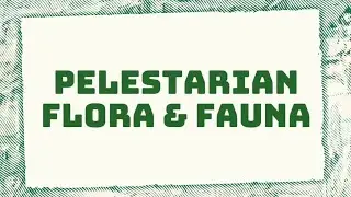 tugas geografi: pelestarian flora dan fauna indonesia☘️ (title: ketika hutan memanggil)