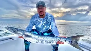BARRACUDA! | SPANISH MACKEREL | BONITO | SPEARFISHING | Destin Florida FISHING | HOW TO CATCH BONITO