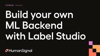 Создайте свой собственный бэкэнд ML с помощью Label Studio