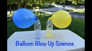 Balloon Blow Up with Baking Soda and Vinegar | Balloon Blow Up Science | STEM Project | DIY Science