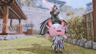 [FF14] Fallior of Light [FFXIV &times; Fall guys collab]