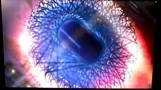 Sonic the Hedgehog's Dreamscape