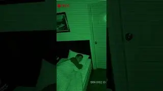 Something just ran into my room. #shorts #viralvideo  #horror #hantu