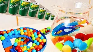 Fish Tank Marble Run Race ASMR ☆ Creative Healing Sound