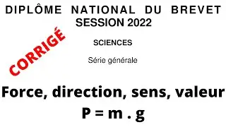 Brevet 2022 Polyn&eacute;sie fran&ccedil;aise : Force, direction, sens, valeur, formule P = mg