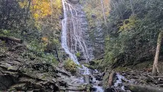 Mingo Falls, NC