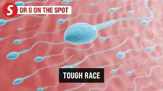 EP310: Racing against time to sprint forward | PUTTING DR G ON THE SPOT