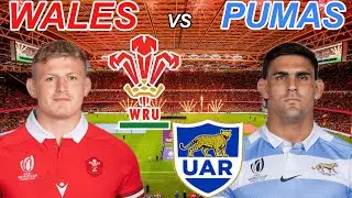 WALES vs ARGENTINA 2025 Live Commentary