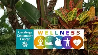Video 2: The Mind-Body Connection