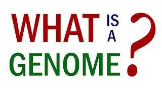 What is a genome? Darwin Tree of Life explains