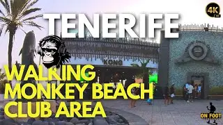 Tenerife - Sunset Vibes in Monkey Beach Club Area | Beachfront Walk #Tenerife #lasamericastenerife