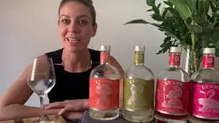 Lyre's Non-Alcoholic Spirit Co - Year 1 journey