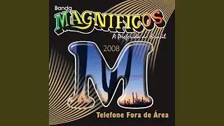 Te Procuro e Nada
