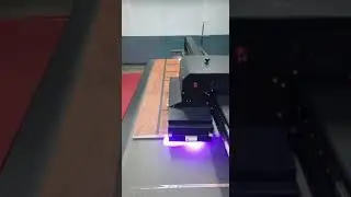 UV PRINTING ON WPC DOORS