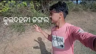 Kuladahani dem and forest / odia blog / tuna naik k 