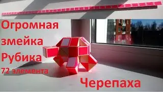 Огромная змейка Рубика (72 элемента)! Как собрать черепаху (turtle) из змейки Рубика)