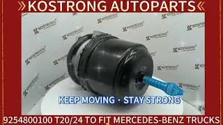 KOSTRONG AUTOPARTS SPRING BRAKE DISC 9254800100 T20/24 TO FIT MERCEDES-BENZ TRUCKS​