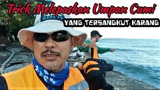 Cara Melepaskan Umpan Cumi Yang Tersangkut Karang #nyuminyoook #mancingcumi #tipsmancingcumi