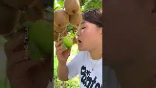 China&rsquo;s Kiwi Trees With Massive Harvest!! #shorts #plants #farming