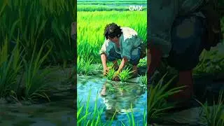 Aesthetic Anime Village Life | Sukoon Bhari Gaon Ki Zindagi | Relaxing Countryside
