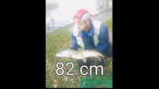 new persenal pike record 82cm