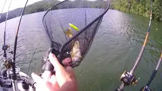 Way to Go Carson ... another HOW2fish Mountain Walleye