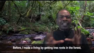 RAZAFITSIAFAJATO Armand | Research Techs | Preserving knowledge of endemic species in Madagascar