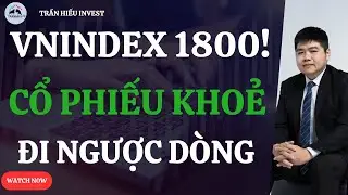 VNIndex 1800 Thật Sao? Cổ Phiếu Mạnh Nào Đang Tăng Ngược Dòng?