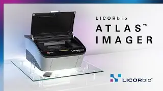 LICORbio Atlas&trade; Imager | Ускоренная визуализация клеток